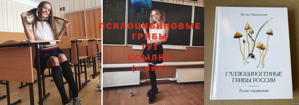 гашик Беломорск
