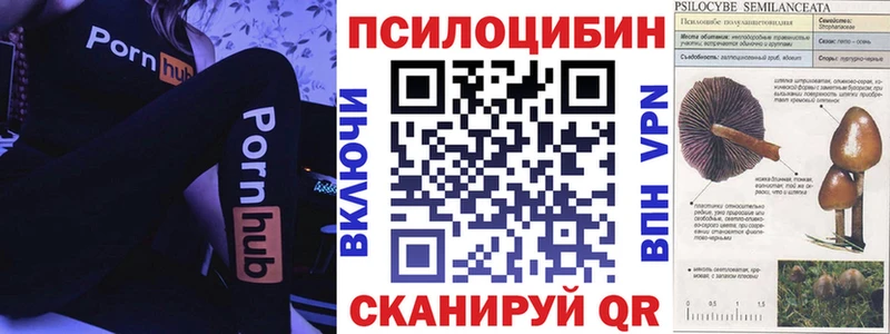 Галлюциногенные грибы Cubensis  Городовиковск 